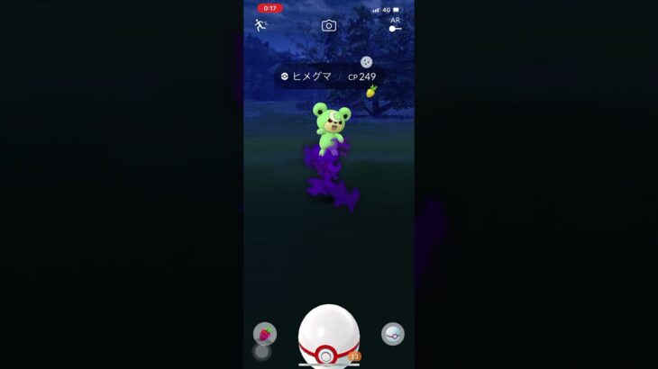 ポケモンGO❗️色違い🌟Sヒメグマ出現😆嬉しい〜✨🥳