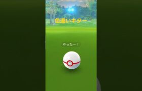 ポケモンGOラティオス色違い#ポケモンgo