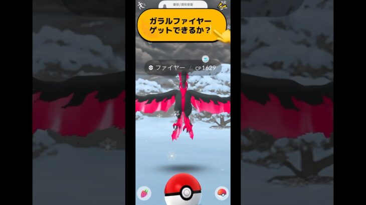 【ポケモンGO】ガラルファイヤーゲットできるか？#ポケモンgo #pokemongo #pokémongo