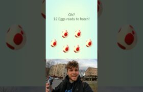 I Hatched 12k Eggs in Pokemon Go and THIS Is What I Got… #pokemon #shorts