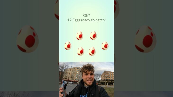 I Hatched 12k Eggs in Pokemon Go and THIS Is What I Got… #pokemon #shorts