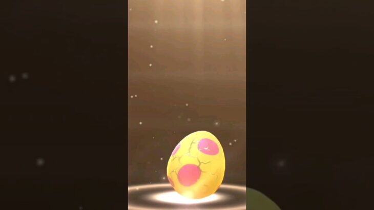 😶Pokemon go egg 🐣 hatch #pokemongo #shortsforyou #short