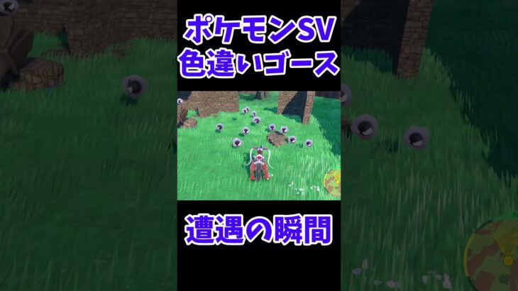 【ポケモンSV】ゴース色違い遭遇の瞬間 #Shorts #ポケモン #ポケモンsv #色違い #藍の円盤