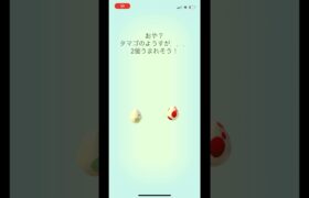 ポケモンgo 2キロタマゴと12キロタマゴガチャ