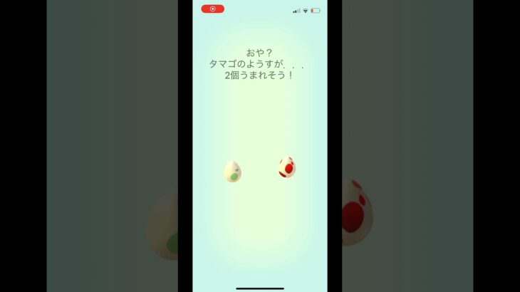 ポケモンgo 2キロタマゴと12キロタマゴガチャ