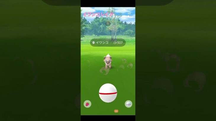 【ポケモンGO】たそがれイワンコ色違い狙ってレイド #アニメ #ポケモン