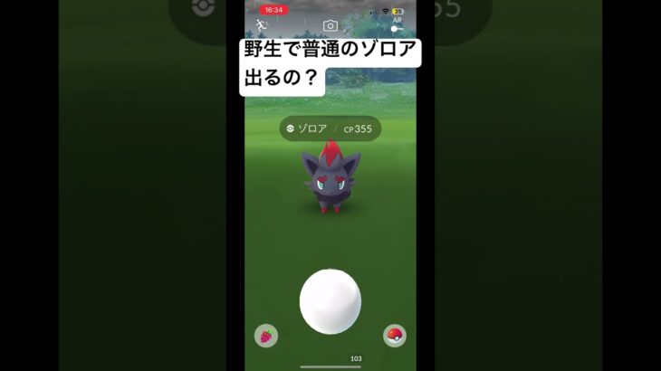 ポケモンGO  野生で普通のゾロア出るの？　前の相棒もゾロアではないです