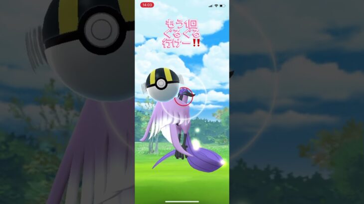 ポケモンGO ガラル三鳥 ガラルフリーザ ゲットできるかな ショート チャンネル登録お願いします♡♡