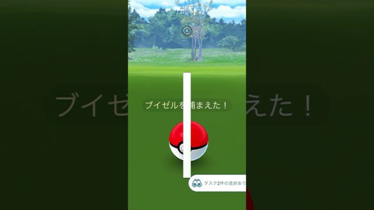 【色違い】ブイゼル【ポケモンGO】