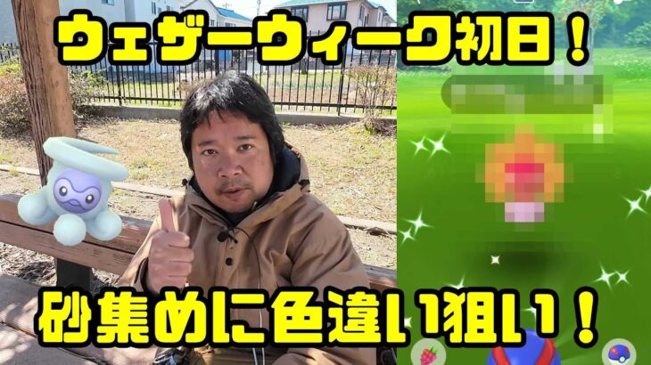 【ポケモンGO】良イベキタコレ！砂集めにポワルン色違い最大級チャンス！