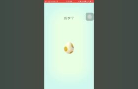 ポケモンGO 5kmたまご何でるかな？ #ポケgo #ポケモン #ポケモンgo #pokemon #ポケゴー #pokemongo #shorts #short