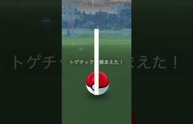 【色違い】トゲチック【ポケモンGO】