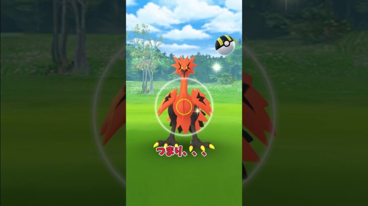 【ポケモンGO】ガラルサンダーだと思ったら、、、#ポケモン #ポケモンgo #ゾロア #shorts