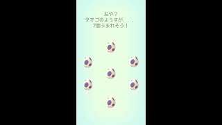 【ポケモンGO】ラスト10玉7連