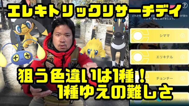 【ポケモンGO】狙う色違いは1種！1種ゆえの難しさ！エレキトリックリサーチデイ