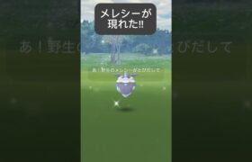 【ポケモンGO】野生にメレシーが現れた!!【✨Carbink Pokémon GO✨】