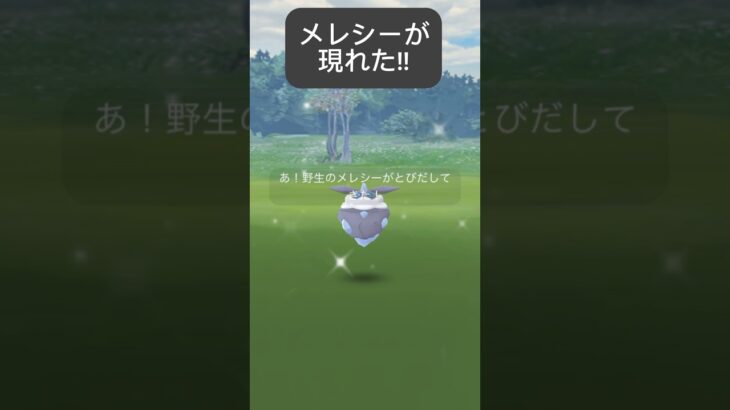 【ポケモンGO】野生にメレシーが現れた!!【✨Carbink Pokémon GO✨】