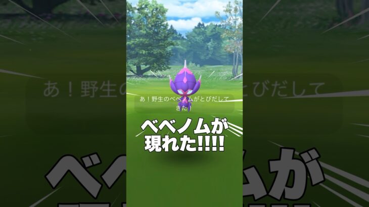 【ポケモンGO】ベベノムが現れた!!【✨Poipole Pokémon GO✨】