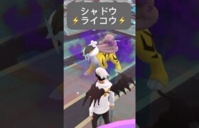 【ポケモンGO】シャドウライコウが現れた!!【⚡️Shadow Raikou Pokémon GO⚡️】