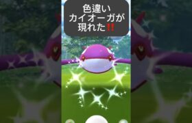 【ポケモンGO】色違いカイオーガが現れた!!【✨Shiny Kyogre Pokémon GO✨】