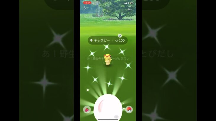 【ポケモンGO】色違いキャタピー,トランセル,バタフリー#ポケモンgo #pokémongo #pokemongo