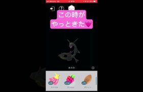 黒レックと相棒MAX、ガンバリボン🎀【ポケモンGO】#shorts #ゲーム実況 #ショート