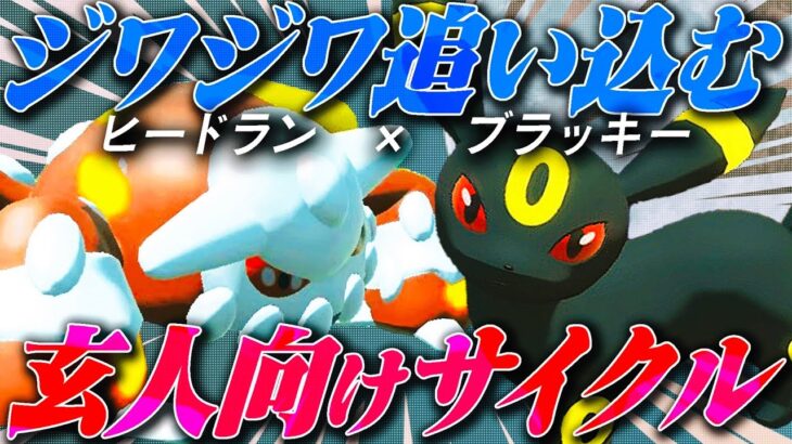 過去世代で猛威を振るっていた最強コンビ。ブラッキー×ドラン【ポケモンSV】