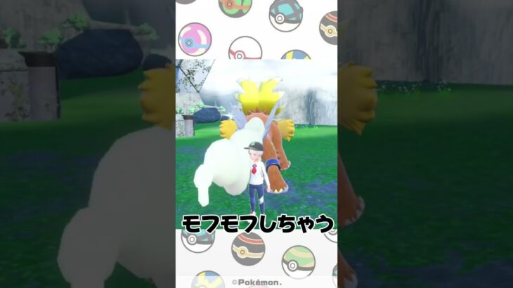 【ポケモンSV】ウガツホムラ捕まえた！