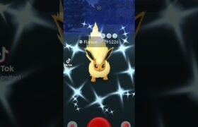 Shiny Eeveelutions in Pokemon Go using Zorua #pokemongo