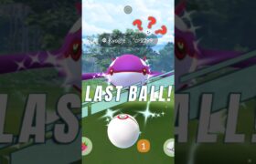 When I do last ball challenge with Shiny Kyogre….. 😳 Pokemon go