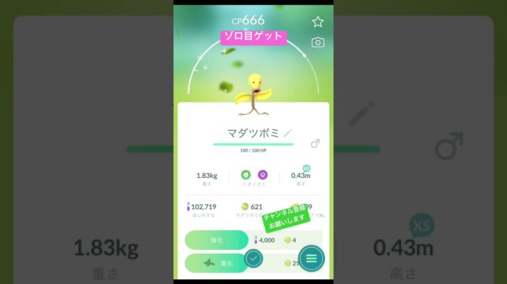 お久しぶり😭✨ #ポケモンgo #ポケgo #ポケモン #pokemongo #pokemon #pokémon #色違い #shinypokemon #チャンネル登録お願いします #shorts