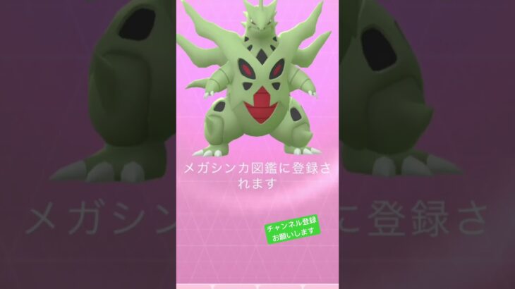 ラストボール、ドキドキ😭 #ポケモンgo #ポケgo #ポケモン #pokemongo #pokemon #pokémon #バンギラス #レイド #チャンネル登録お願いします #shorts