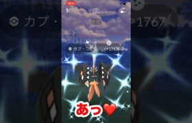 【ポケモンgo】カプコケコ色違いを求めて！20回目のチャレンジで！？これだからやめられねー⚠️#ポケモン　#ポケモンgo #カプコケコ　#shorts #パチストラッシュ