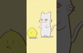 ポケダンスを踊ってみた猫とひよこ #jaritendo #pokedance #pokemon #ポケモン #anime #animation