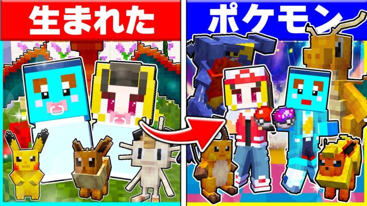 ⭐ポケモンの世界に生まれた子供たちがポケモンマスターになるまで【まいくら/マインクラフト】