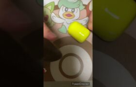 【お菓子】ポケモン　チョコエッグ　開封15