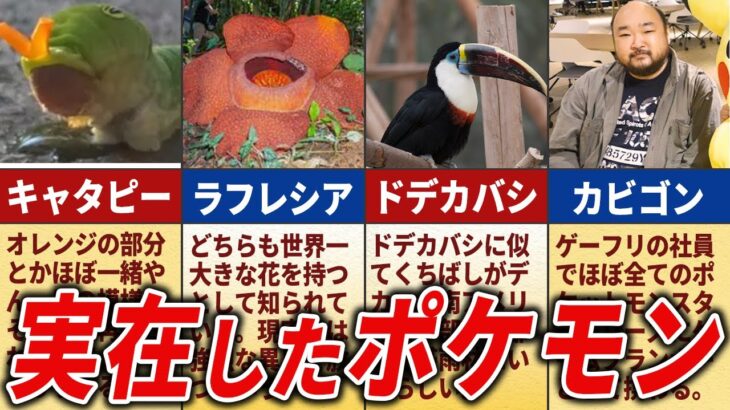 現実の生物にそっくりなポケモン20選【歴代ポケモン】