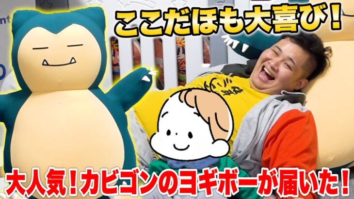 【限定】6ヶ月待ちのレアポケモン「カビゴンのYogibo」が遂に届いた！！