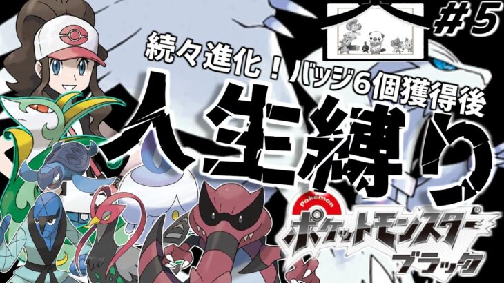 【ポケモンBW 人生縛り】ポケットモンスター ブラック を超鬼畜縛りの「人生縛り」でプレイ #5【PTメンバー決定！バッジ6個目取得後から】