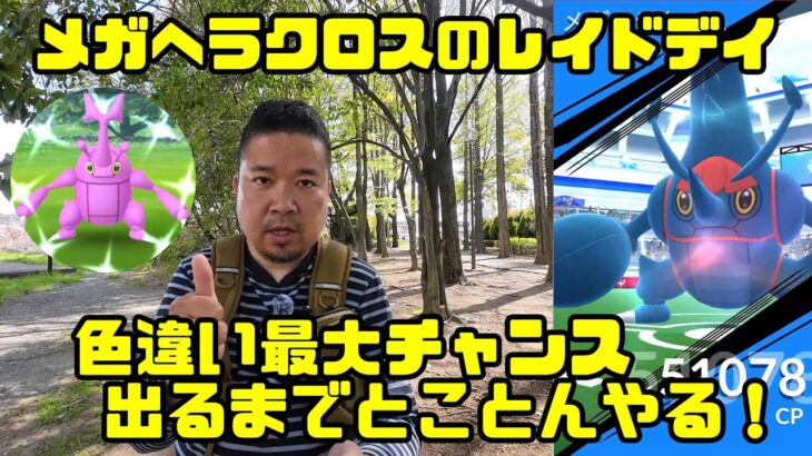 【ポケモンGO】宿願の色違い取るまで帰らない！メガヘラクロス レイドデイ