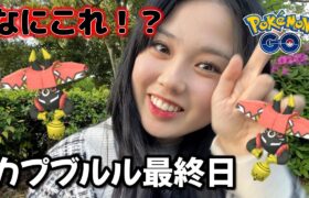 【緊急】活動休止中にできていなかったカプ・ブルルレイドに駆け込み参戦❗️✨️面白い結果に🙄💗 レイドアワーポケモンGO Pokémon GO Japan raids GBL 일본인 포켓몬고