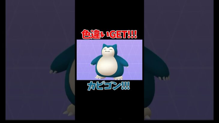 【ポケモンGO】色違いGET!!!カビゴン!!!#pokemon #ポケモン #pokemongo #ポケモンgo #shinypokemon #色違い #snorlax  #カビゴン