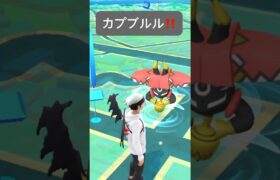 【ポケモンGO】カプ・ブルルが現れた!!【✨Tapu Bulu Pokémon GO✨】