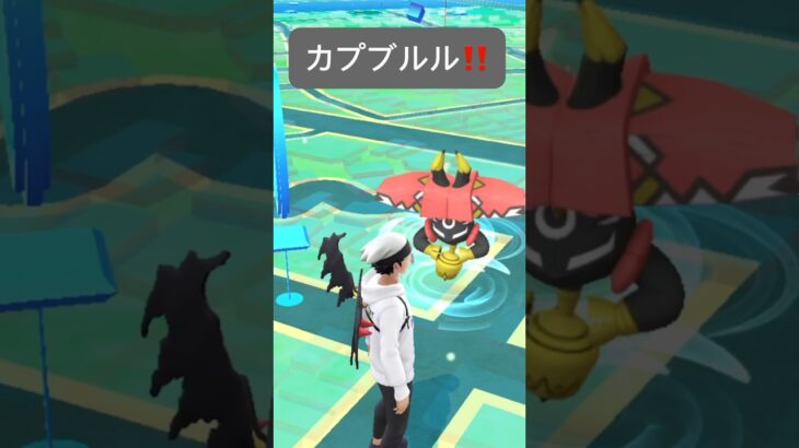 【ポケモンGO】カプ・ブルルが現れた!!【✨Tapu Bulu Pokémon GO✨】