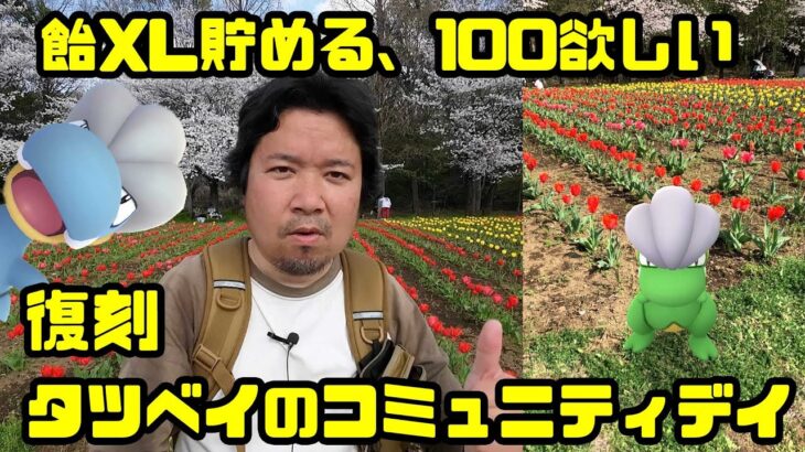 【ポケモンGO】桜満開！飴XLを貯める、あわよくば100ゲット！復刻タツベイのコミュニティデイ