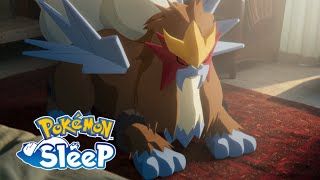 【公式】『Pokémon Sleep（ポケモンスリープ）』エンテイが登場！