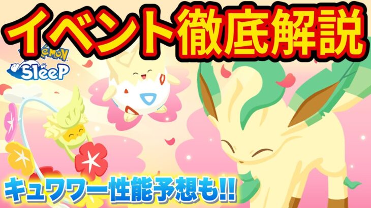 新ポケモン「キュワワー」登場！フラワーフェスティバルでのフィールドの選び方を徹底解説【ポケモンスリープ】【ポケスリ】【Pokémon Sleep】【徹底解説/完全攻略】