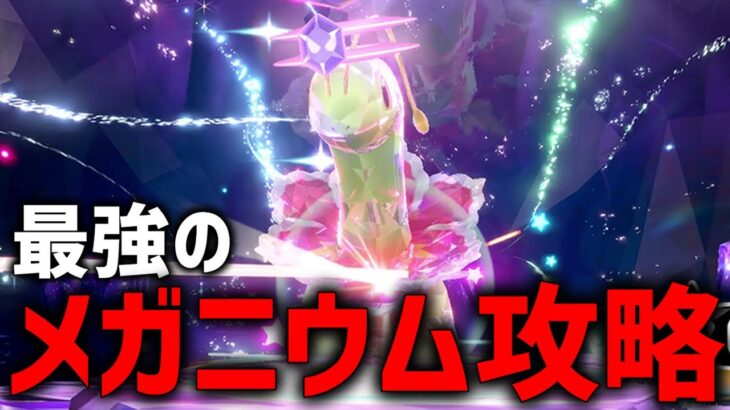 【参加型】最強のメガニウム最適解探すぞ！！【ポケモンSV】