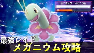 ★７「最強メガニウム」ソロレイド対策！おすすめポケモン安定攻略方法を徹底解説【ポケモンSV】