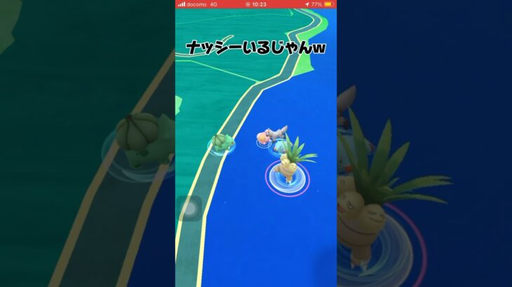 ってあああああ#ポケモン #ポケgo #ポケモンgo #ずんだもん #pokemongo